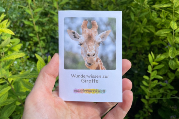 Faltbüchlein: "Wunderwissen zur Giraffe" (Download) wunderwissen_giraffe