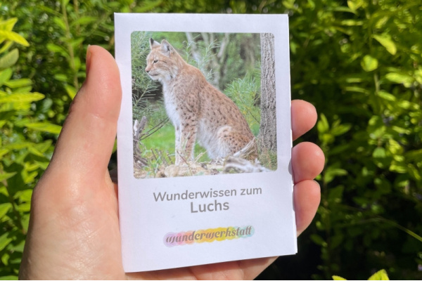 Faltbüchlein: "Wunderwissen zum Luchs" (Download) wunderwissen_luchs_titel_neu