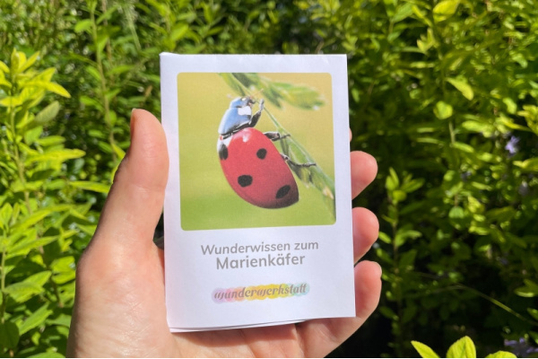 Faltbüchlein: "Wunderwissen zum Marienkäfer" (Download) wunderwissen_marienkaefer_titel_neu