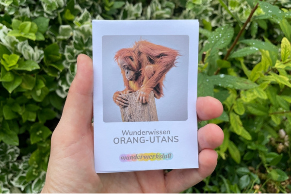 Faltbüchlein: "Wunderwissen Orang-Utans" (Download) wunderwissen_orangutan_titel