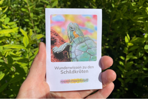 Faltbüchlein: "Wunderwissen zu den Schildkröten" (Download) wunderwissen_schildkroete