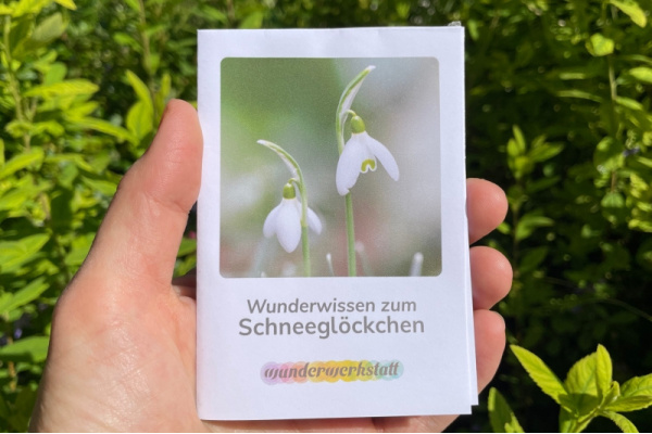 Faltbüchlein: "Wunderwissen zum Schneeglöckchen" (Download) wunderwissen_schneegloeckchen_titel_neu