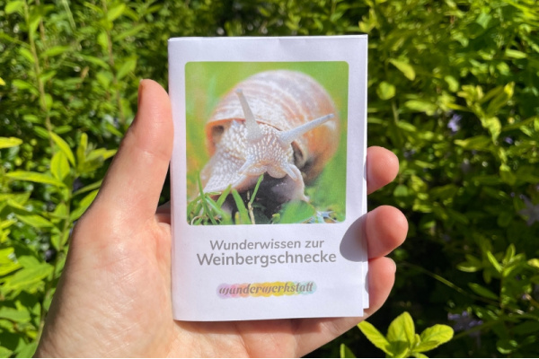 Faltbüchlein: "Wunderwissen zur Weinbergschnecke" (Download) wunderwissen_weinbergschnecke_titel_neu