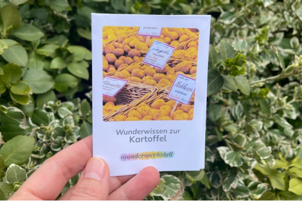 Faltbüchlein: "Wunderwissen zur Kartoffel" (Download) ww-kartoffel-titel