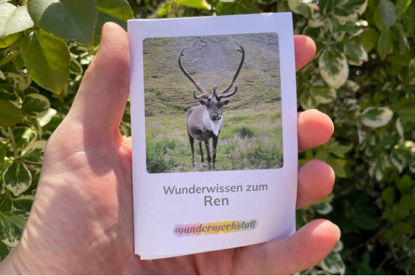 Faltbüchlein: "Wunderwissen zum Ren" (Download) ww_rentier_titel
