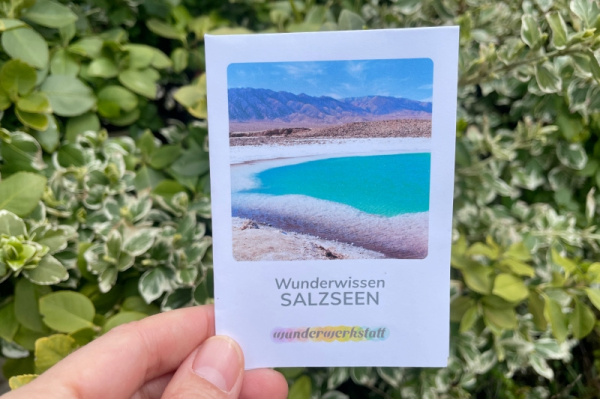 Faltbüchlein: "Wunderwissen Salzseen" (Download) ww_salzseen_titel