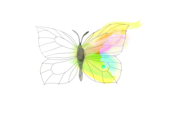 malheft_schmetterlinge