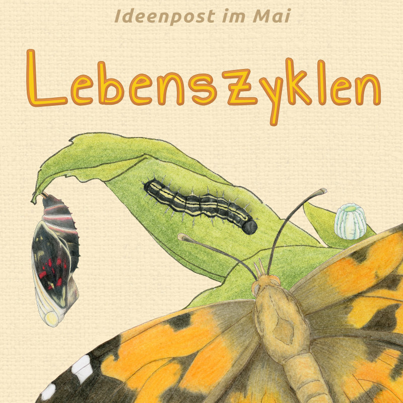 Lebenszyklen