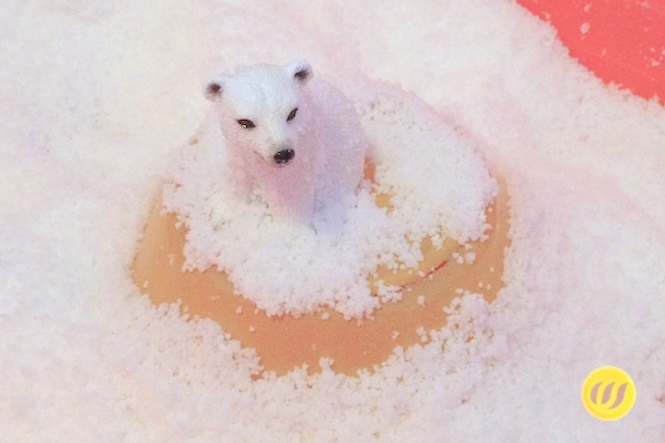Ein Eisbär im Kunstschnee