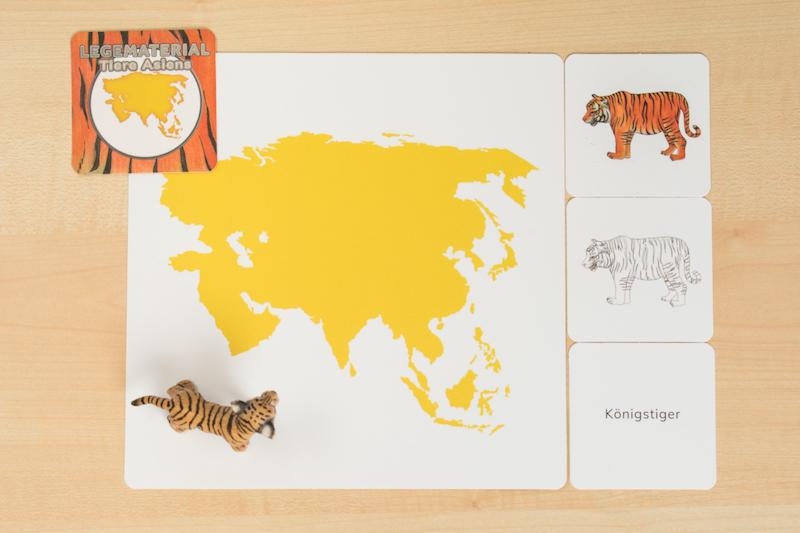 Legematerial Tiere Asiens