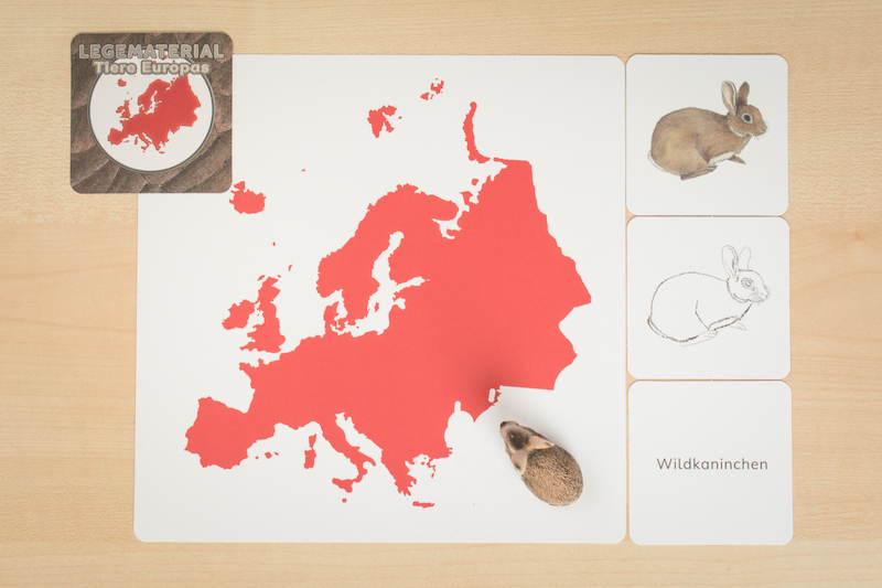 Legematerial Tiere Europas