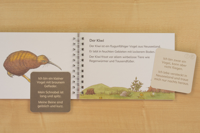 Rätselkarten und Leseheft