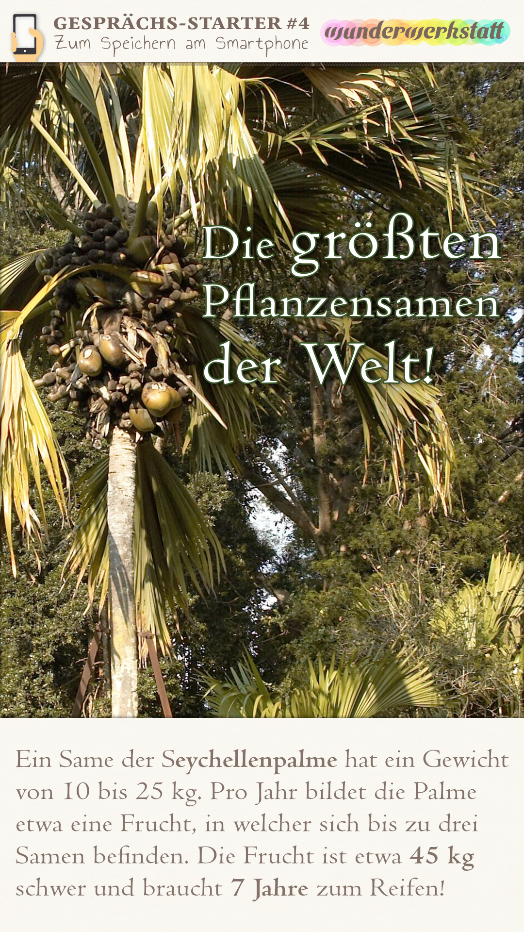 Die größten Pflanzensamen der Welt