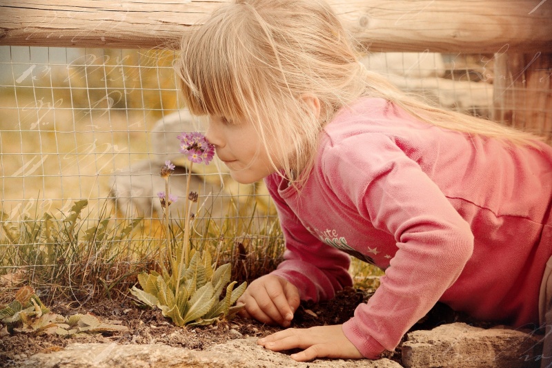 ein Kind riecht an einer Blume